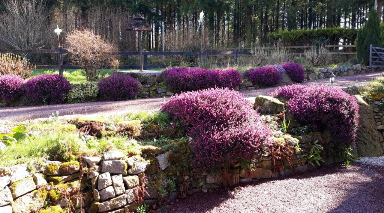 Le Petit Bois Normand - Chambre D'Hote Bed and Breakfast Champ-du-Boult Eksteriør billede