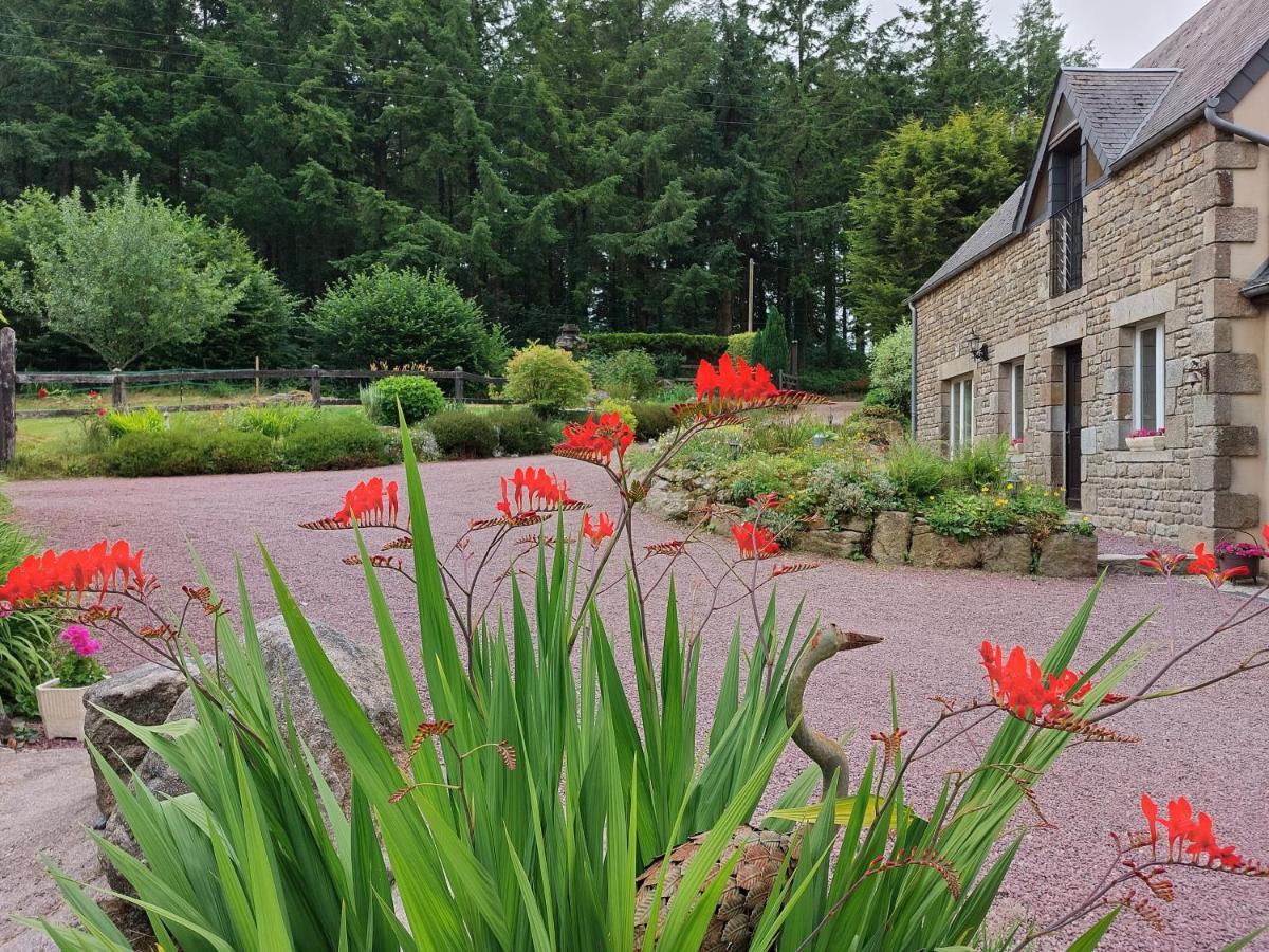 Le Petit Bois Normand - Chambre D'Hote Bed and Breakfast Champ-du-Boult Eksteriør billede